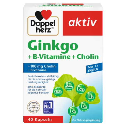 Doppelherz aktiv Ginkgo + B-Vitamine Frontansicht
