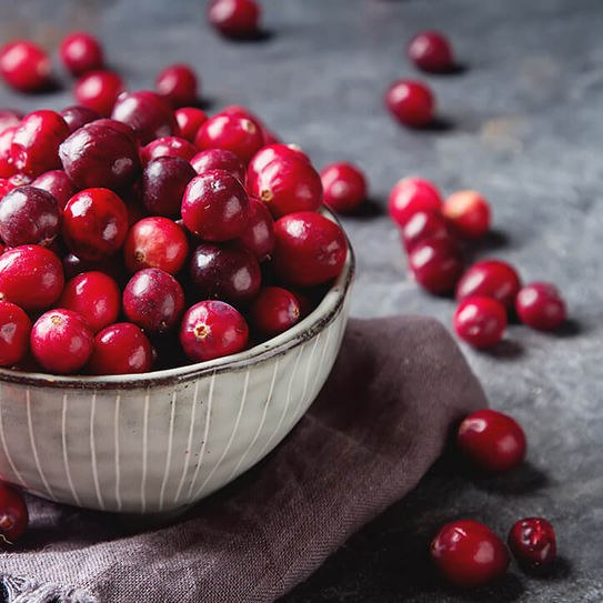 Schale mit Cranberries auf grauem Hintergrund 