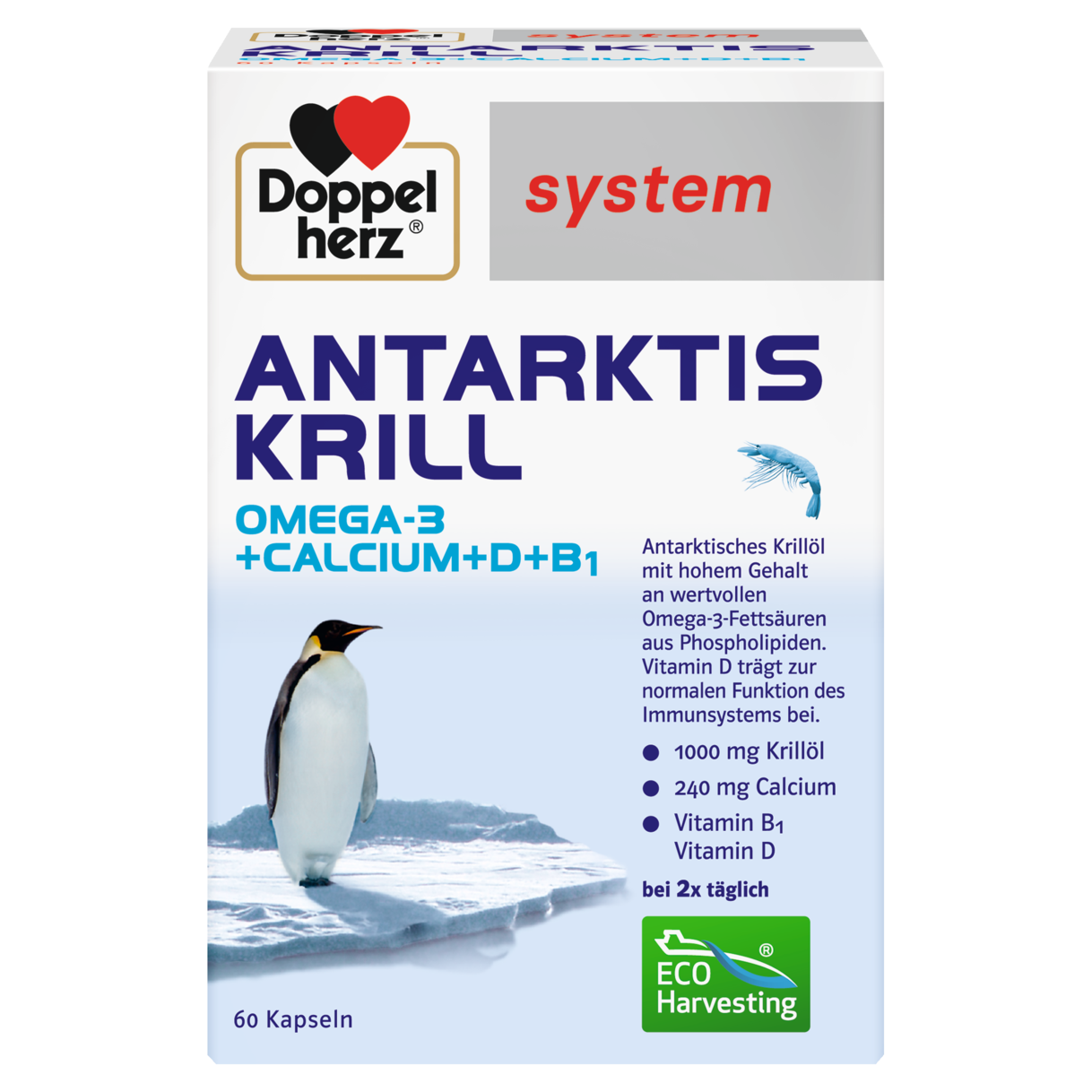 ANTARKTIS KRILL