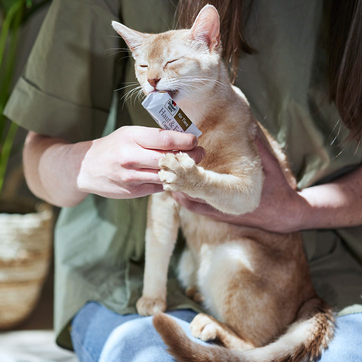 Katze leckt an Portionsbeutel  | Doppelherz