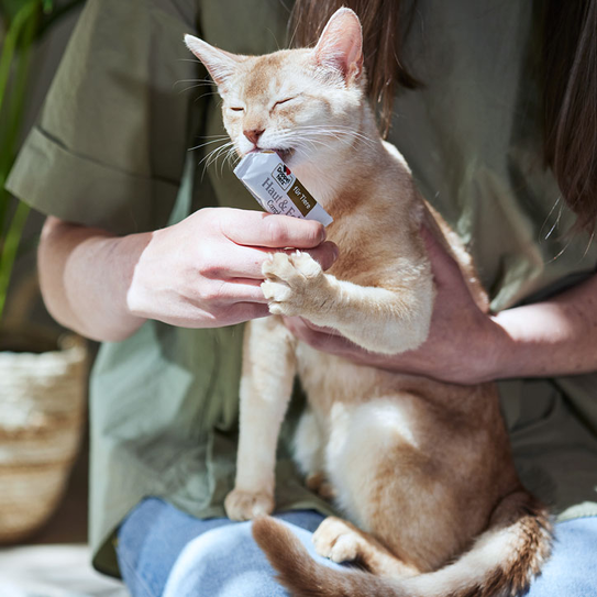 Katze leckt an Portionsbeutel | Doppelherz