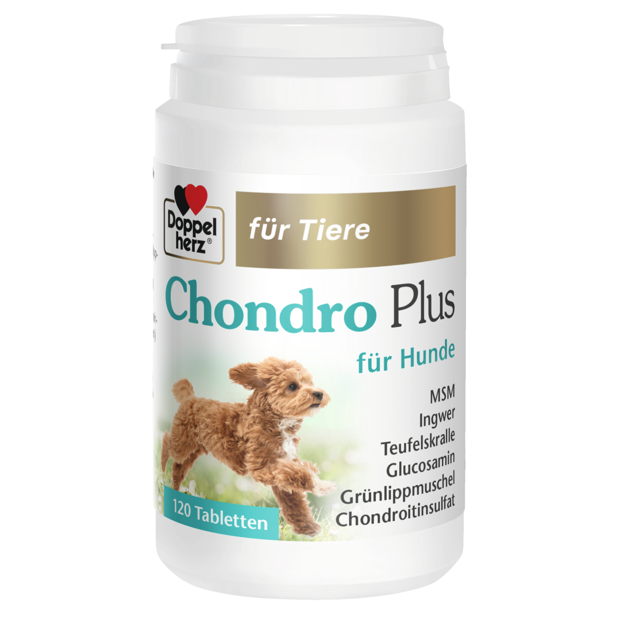 Abbildung der Produktverpackung Doppelherz für Tiere Chondro Plus für Hunde Frontansicht